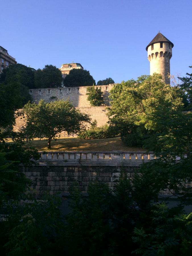 Luxury Apartment View On To The Castle Budapest Exterior photo